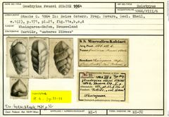 Karteikarte zum Holotyp von Gaudryina reussi Stache, 1864